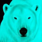 POLAR-BEAR-CURACAO-BLUE POLAR BEAR ELECTRIC BLUE  Showroom - Inkjet on plexi, limited editions, numbered and signed. Wildlife painting Art and decoration. Click to select an image, organise your own set, order from the painter on line